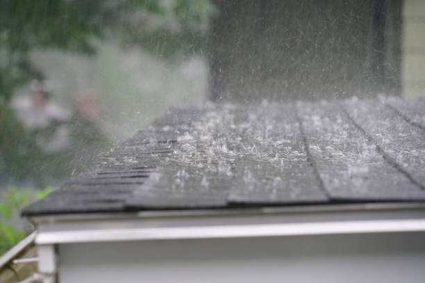 Best Roof Leak Repair  in North Pekin, IL